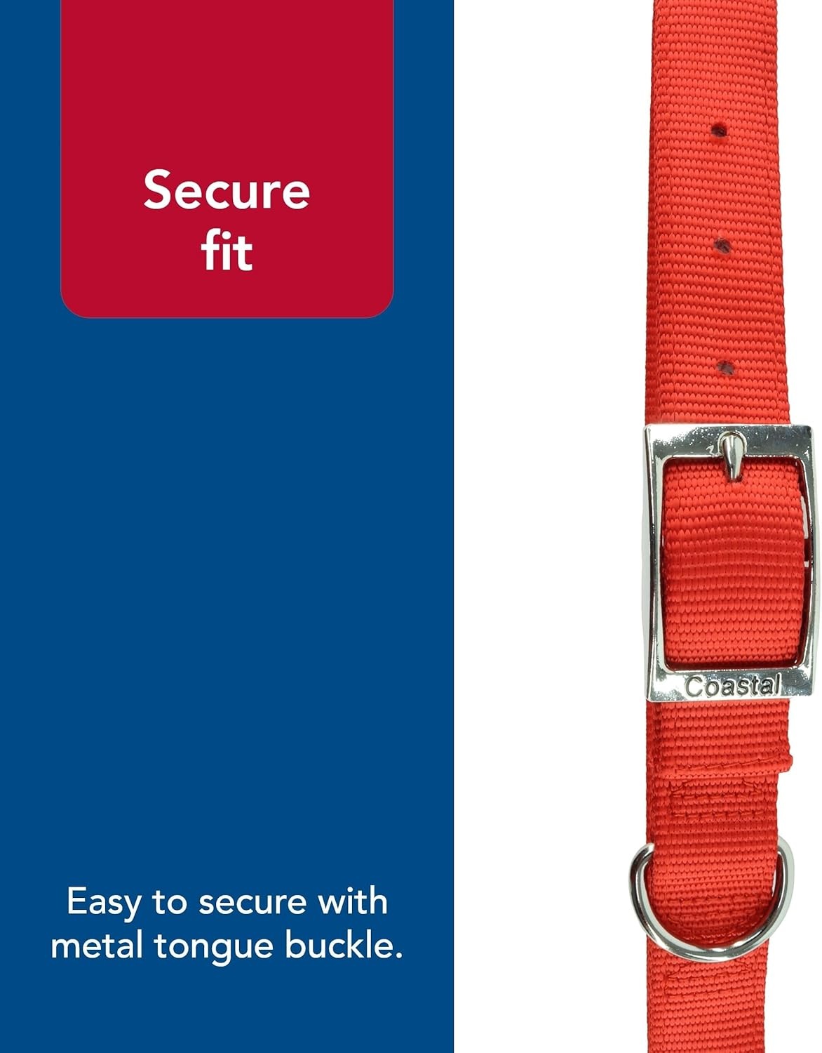 image:imageCoastal Pet DoublePly Dog Collar Pink Bright 1 x 22Blue