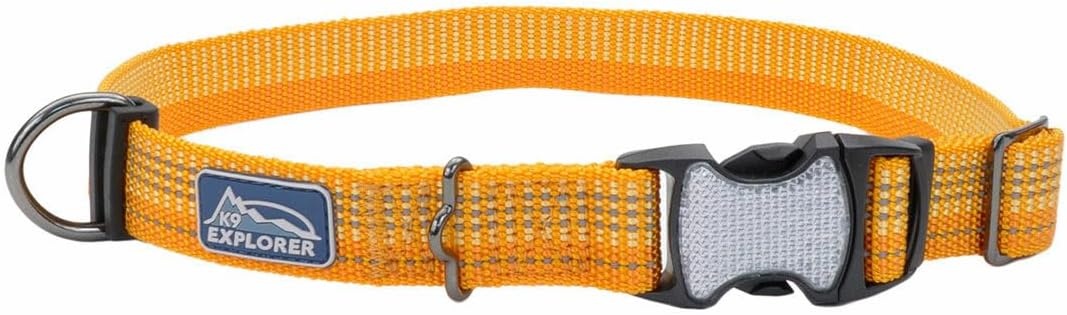 image:imageCoastal Pet K9 Explorer Brights Reflective Adjustable Dog Collar Lake 58 x 1014Desert