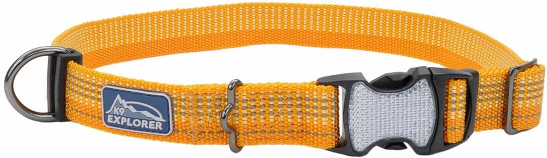 image:imageCoastal Pet K9 Explorer Brights Reflective Adjustable Dog Collar Lake 58 x 1014Desert
