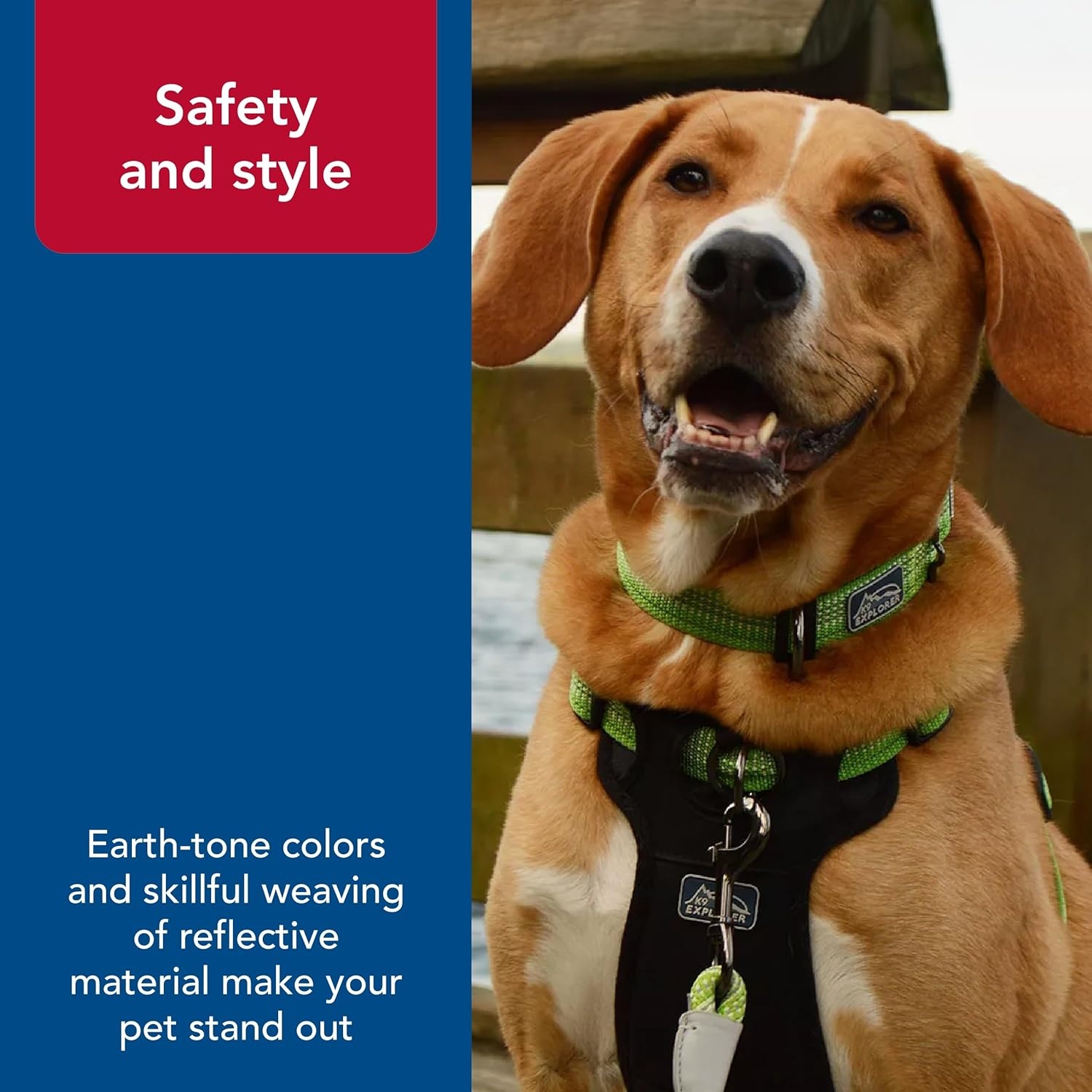 image:imageCoastal Pet K9 Explorer Brights Reflective Adjustable Dog Collar Lake 58 x 1014Meadow