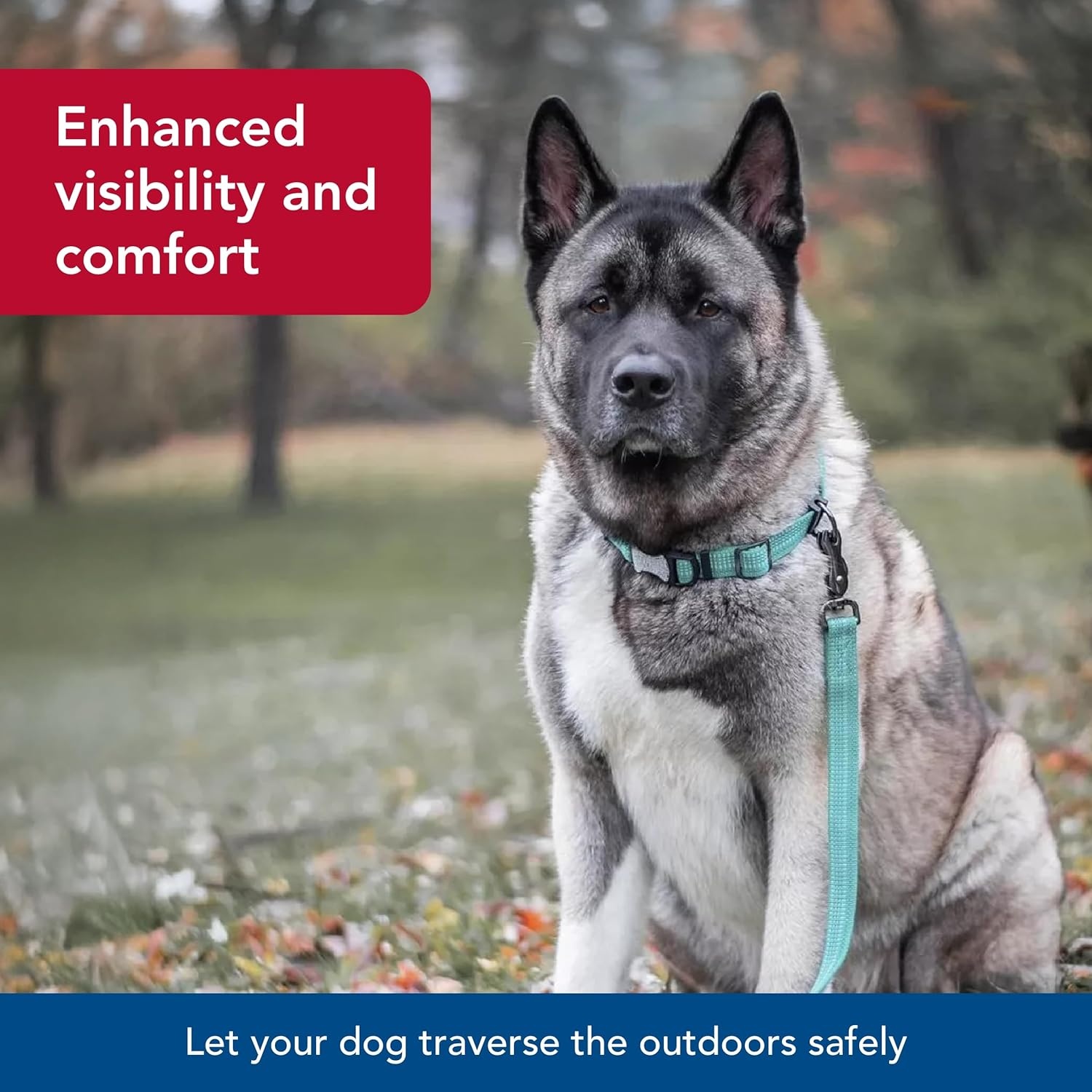 image:imageCoastal Pet K9 Explorer Brights Reflective Adjustable Dog Collar Lake 58 x 1014Meadow