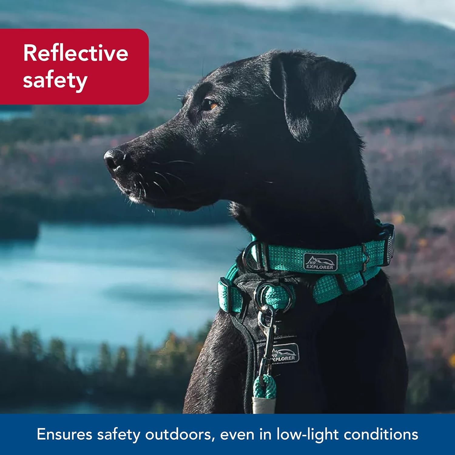 image:imageCoastal Pet K9 Explorer Brights Reflective Adjustable Dog Collar Lake 58 x 1014Ocean
