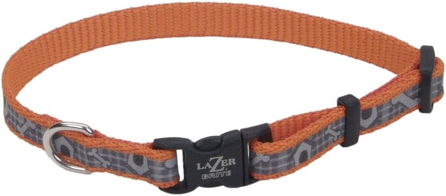 image:imageCoastal Pet Lazer Brite Reflective Adjustable Dog Collar Turquoise Bones 58 x 1218Orange Dog Houses