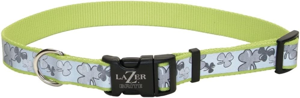 image:imageCoastal Pet Lazer Brite Reflective Adjustable Dog Collar Turquoise Bones 58 x 1218Shamrocks