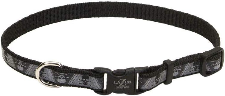 image:imageCoastal Pet Lazer Brite Reflective Adjustable Dog Collar Turquoise Bones 58 x 1218Skulls and Crossbones
