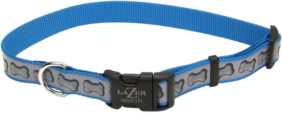 image:imageCoastal Pet Lazer Brite Reflective Adjustable Dog Collar Turquoise Bones 58 x 1218Turquoise Bones