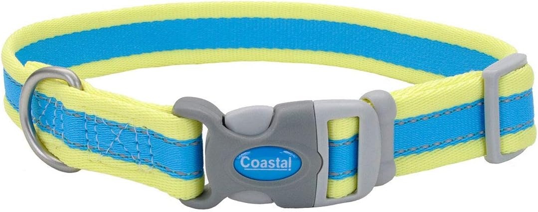 image:imageCoastal Pet Pro Reflective Adjustable Dog Collar Bright Blue with Grey 1 x 1420Aqua with Neon Yellow