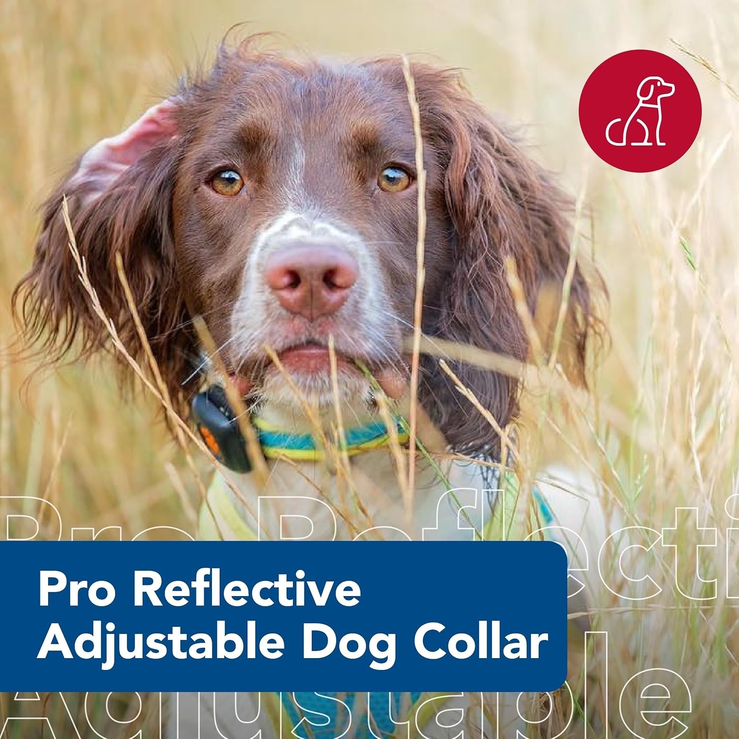 image:imageCoastal Pet Pro Reflective Adjustable Dog Collar Bright Blue with Grey 1 x 1420Aqua with Neon Yellow