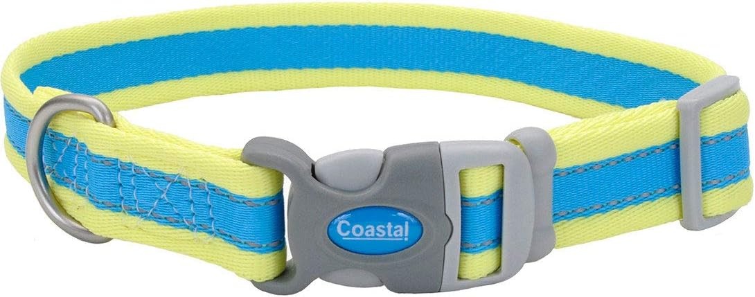 image:imageCoastal Pet Pro Reflective Adjustable Dog Collar Bright Blue with Grey 1 x 1420Aqua with Neon Yellow