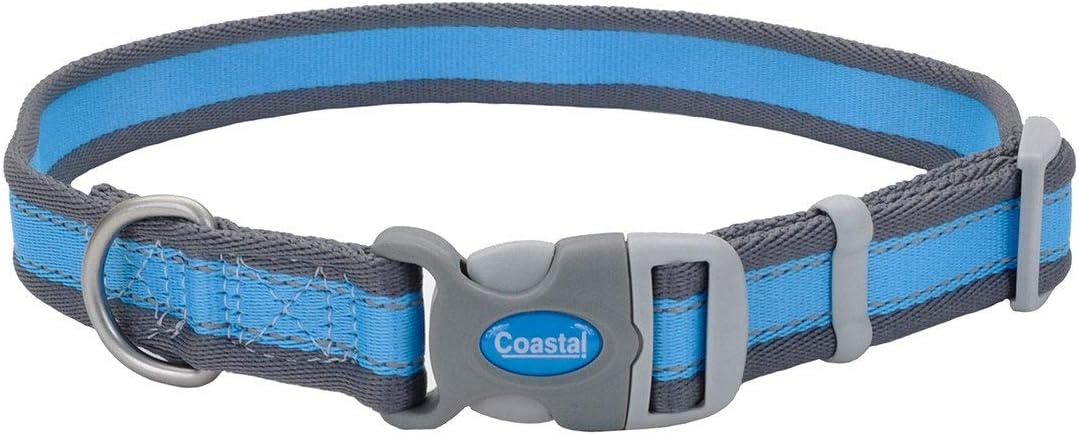 image:imageCoastal Pet Pro Reflective Adjustable Dog Collar Bright Blue with Grey 1 x 1420Bright Blue with Grey