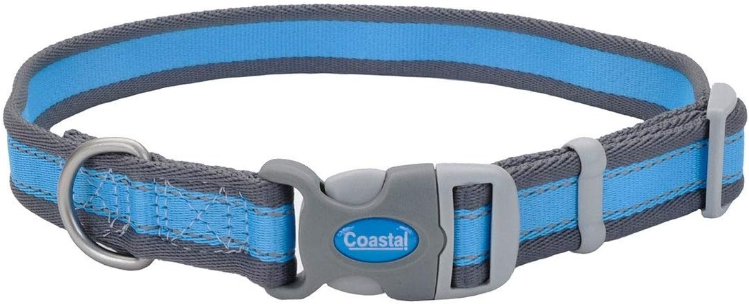 image:imageCoastal Pet Pro Reflective Adjustable Dog Collar Bright Blue with Grey 1 x 1420Bright Blue with Grey