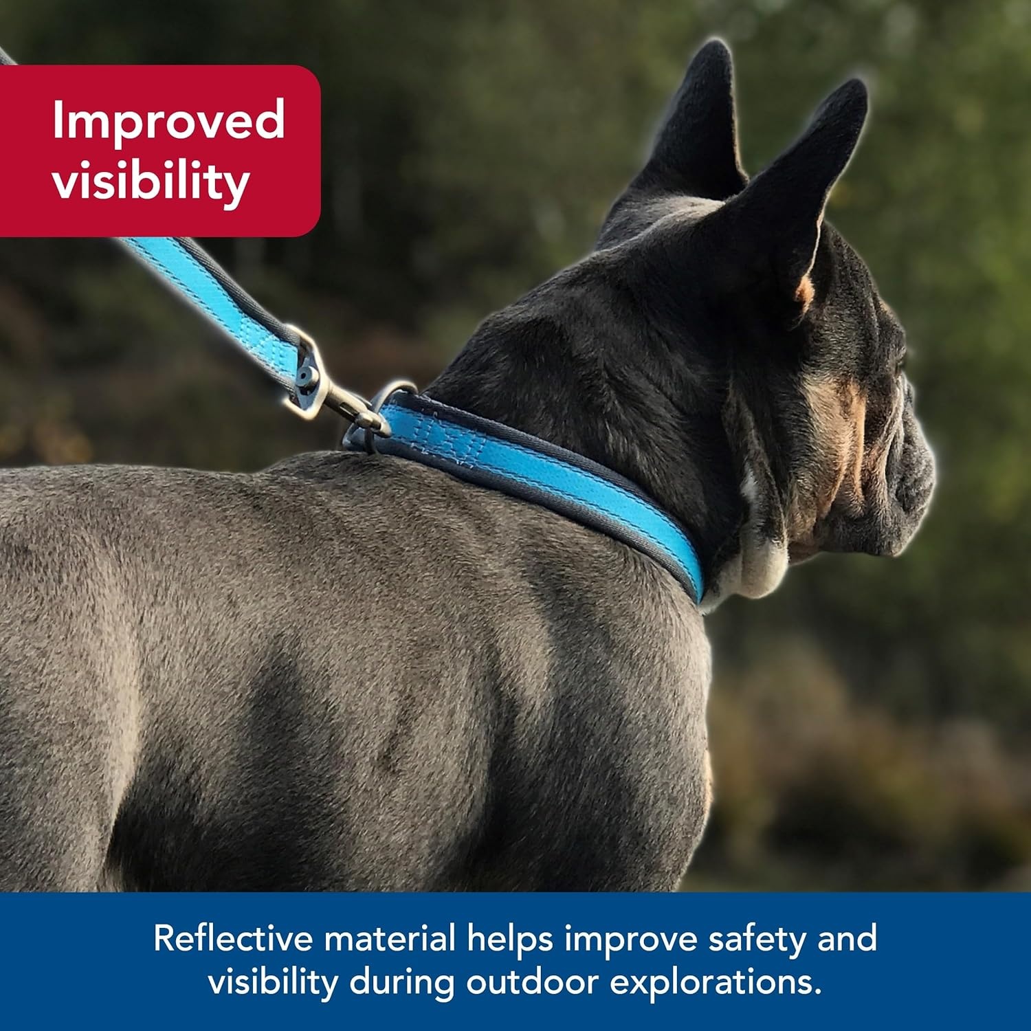 image:imageCoastal Pet Pro Reflective Adjustable Dog Collar Bright Blue with Grey 1 x 1420Bright Blue with Grey