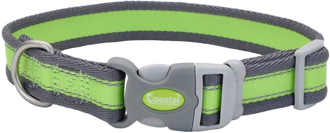image:imageCoastal Pet Pro Reflective Adjustable Dog Collar Bright Blue with Grey 1 x 1420Bright Green with Grey