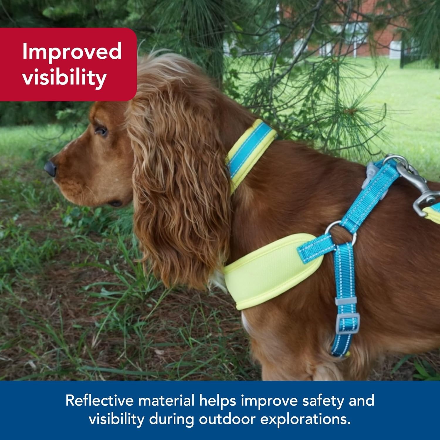 image:imageCoastal Pet Pro Reflective Adjustable Dog Collar Bright Blue with Grey 1 x 1420Bright Green with Grey