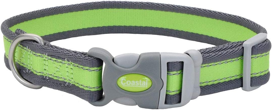 image:imageCoastal Pet Pro Reflective Adjustable Dog Collar Bright Blue with Grey 1 x 1420Bright Green with Grey