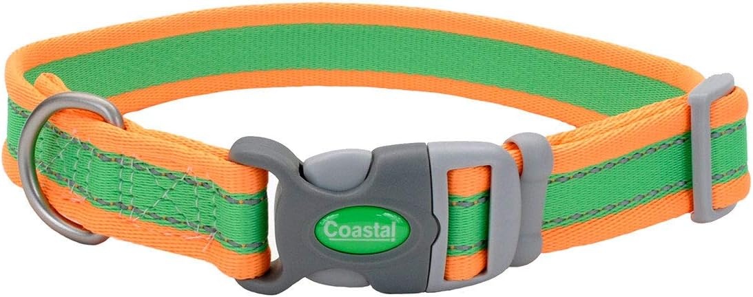 image:imageCoastal Pet Pro Reflective Adjustable Dog Collar Bright Blue with Grey 1 x 1420Lime with Orange