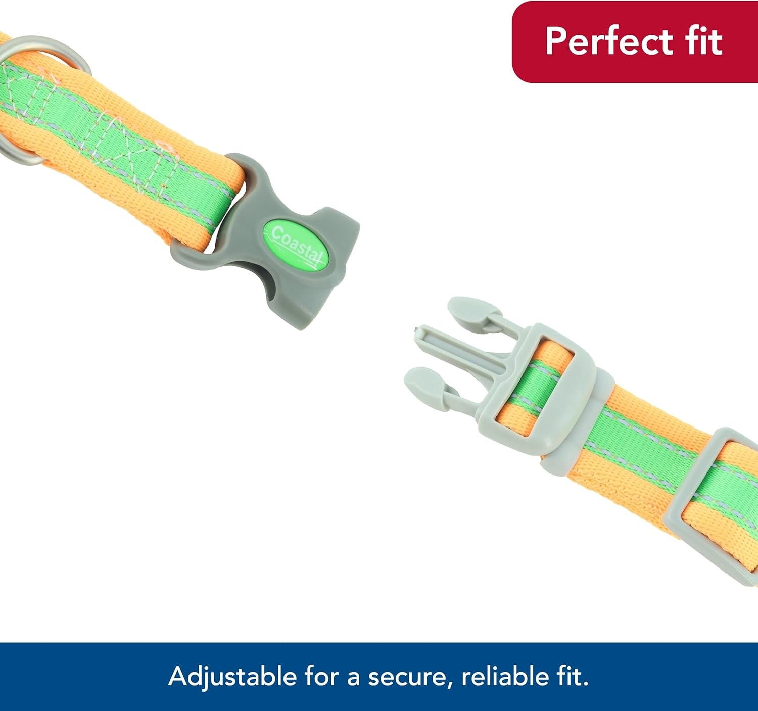 image:imageCoastal Pet Pro Reflective Adjustable Dog Collar Bright Blue with Grey 1 x 1420Lime with Orange