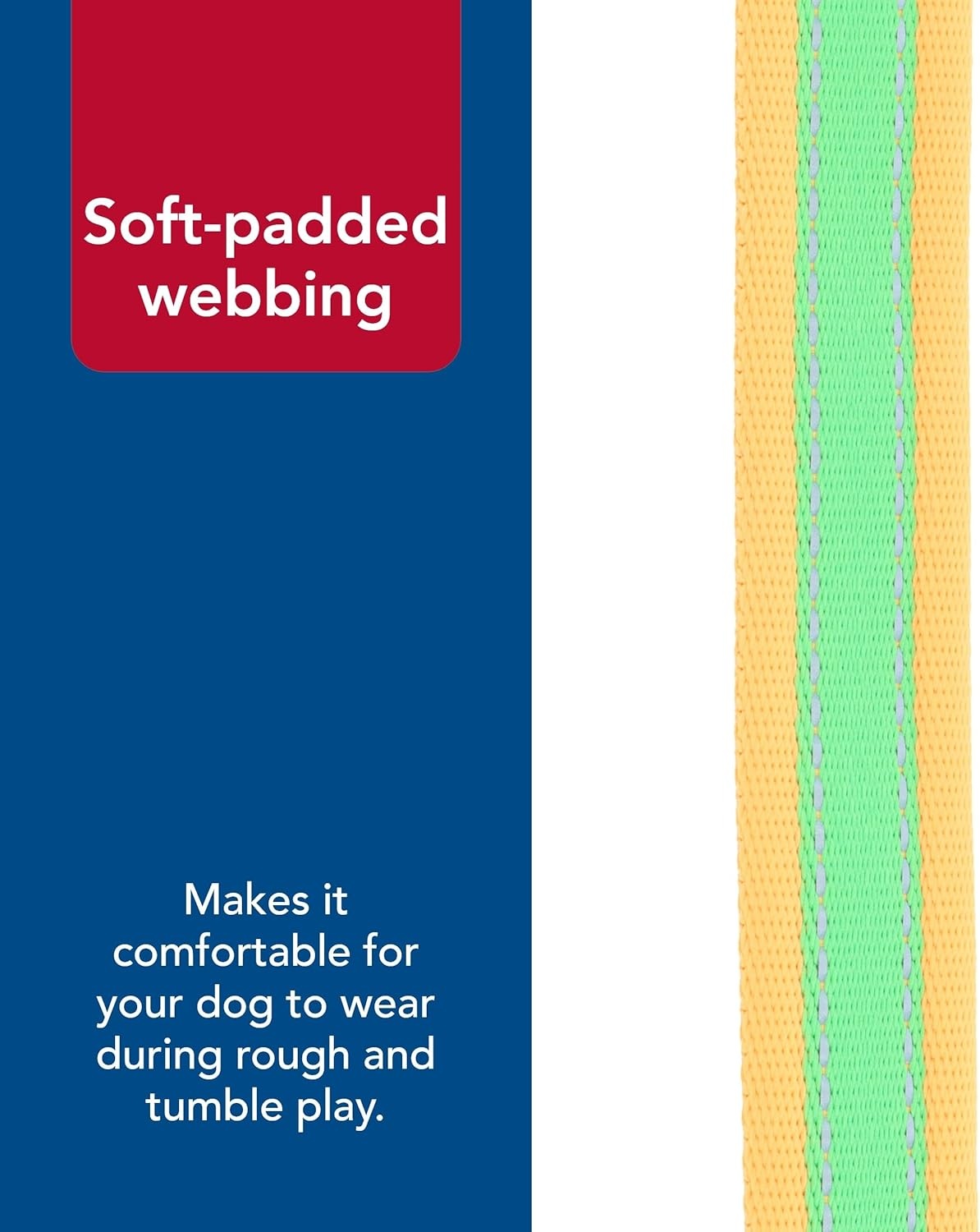 image:imageCoastal Pet Pro Reflective Adjustable Dog Collar Bright Blue with Grey 1 x 1420Lime with Orange
