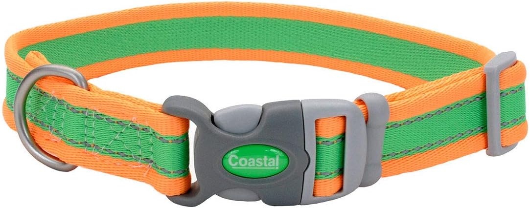 image:imageCoastal Pet Pro Reflective Adjustable Dog Collar Bright Blue with Grey 1 x 1420Lime with Orange
