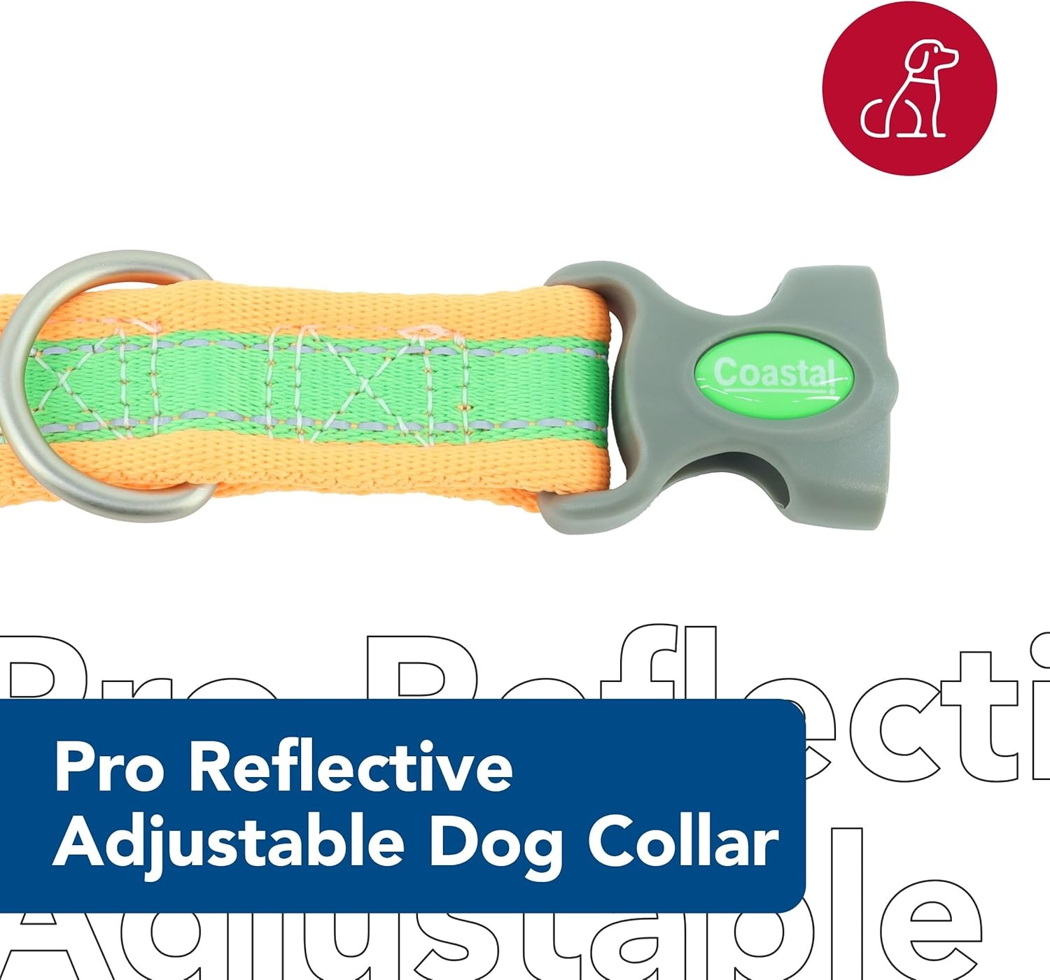 image:imageCoastal Pet Pro Reflective Adjustable Dog Collar Bright Blue with Grey 1 x 1420Lime with Orange
