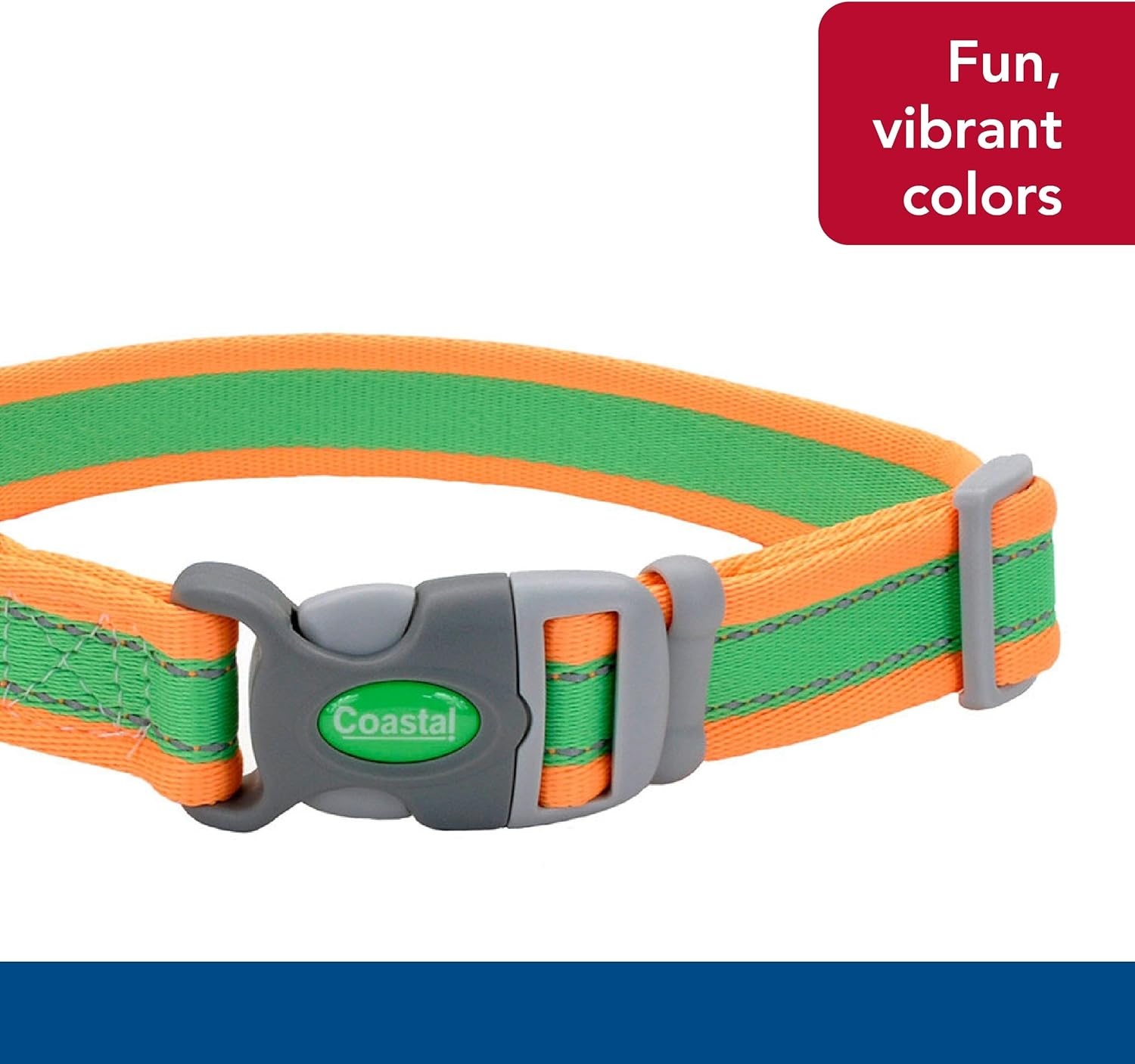 image:imageCoastal Pet Pro Reflective Adjustable Dog Collar Bright Blue with Grey 1 x 1420Lime with Orange