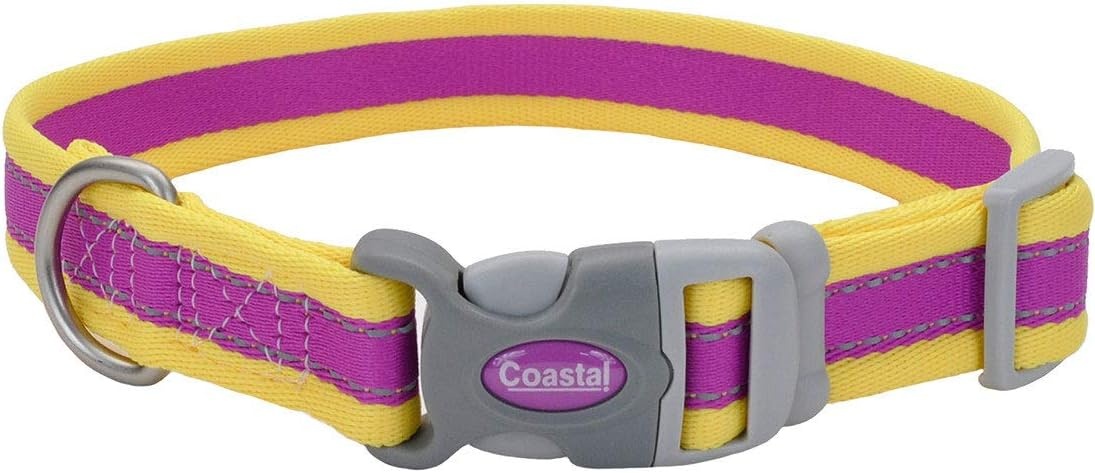 image:imageCoastal Pet Pro Reflective Adjustable Dog Collar Bright Blue with Grey 1 x 1420Purple with Yellow
