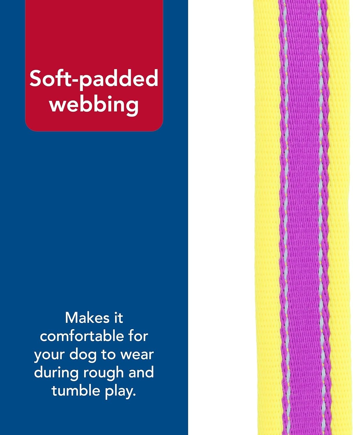 image:imageCoastal Pet Pro Reflective Adjustable Dog Collar Bright Blue with Grey 1 x 1420Purple with Yellow