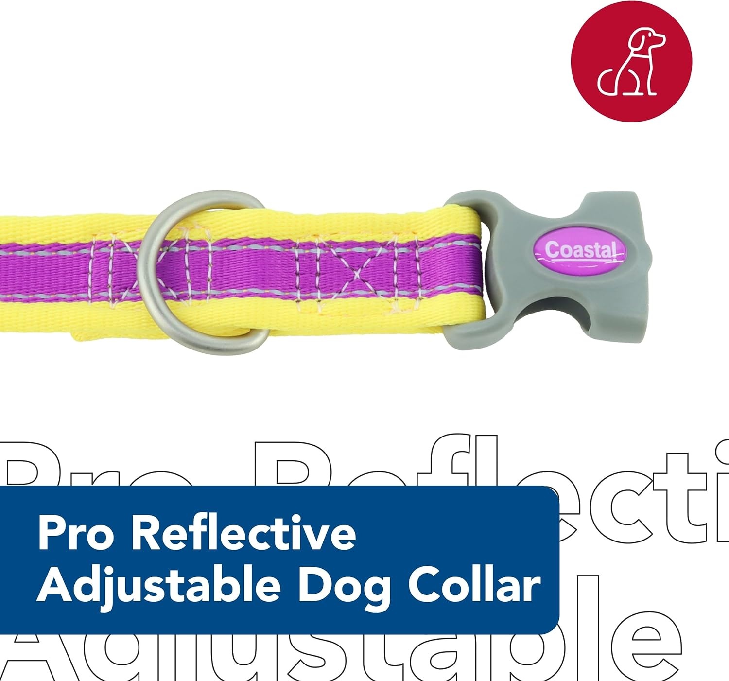image:imageCoastal Pet Pro Reflective Adjustable Dog Collar Bright Blue with Grey 1 x 1420Purple with Yellow