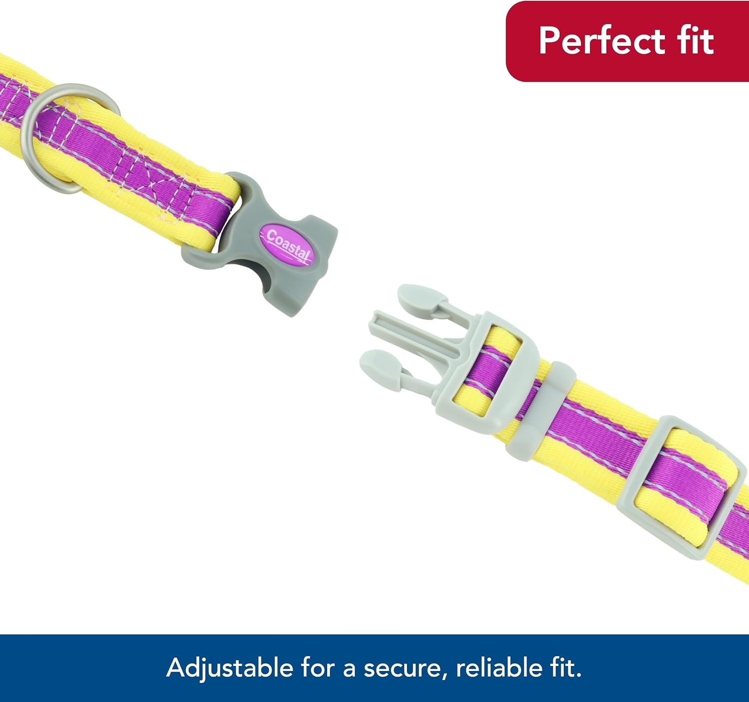 image:imageCoastal Pet Pro Reflective Adjustable Dog Collar Bright Blue with Grey 1 x 1420Purple with Yellow