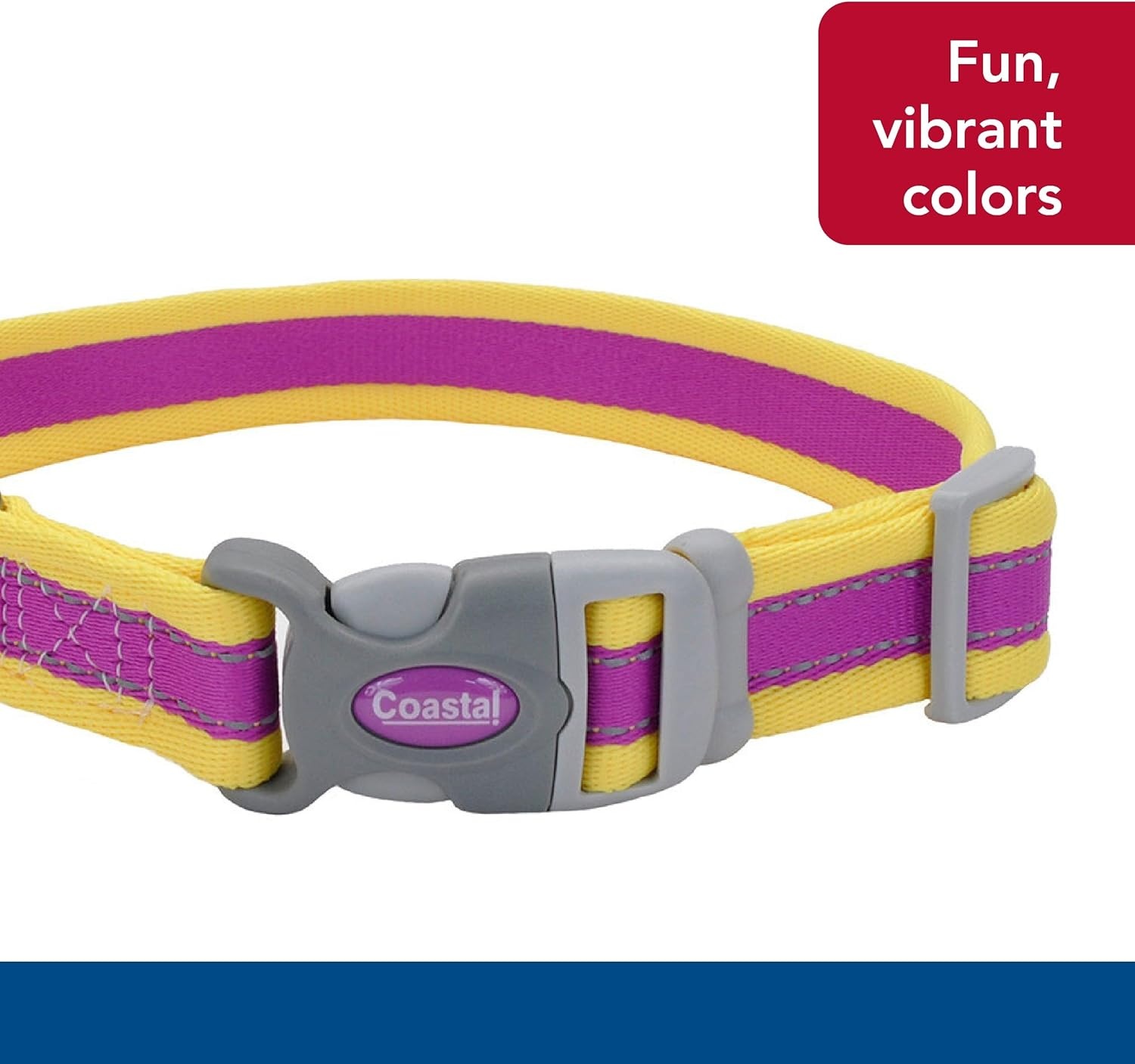 image:imageCoastal Pet Pro Reflective Adjustable Dog Collar Bright Blue with Grey 1 x 1420Purple with Yellow