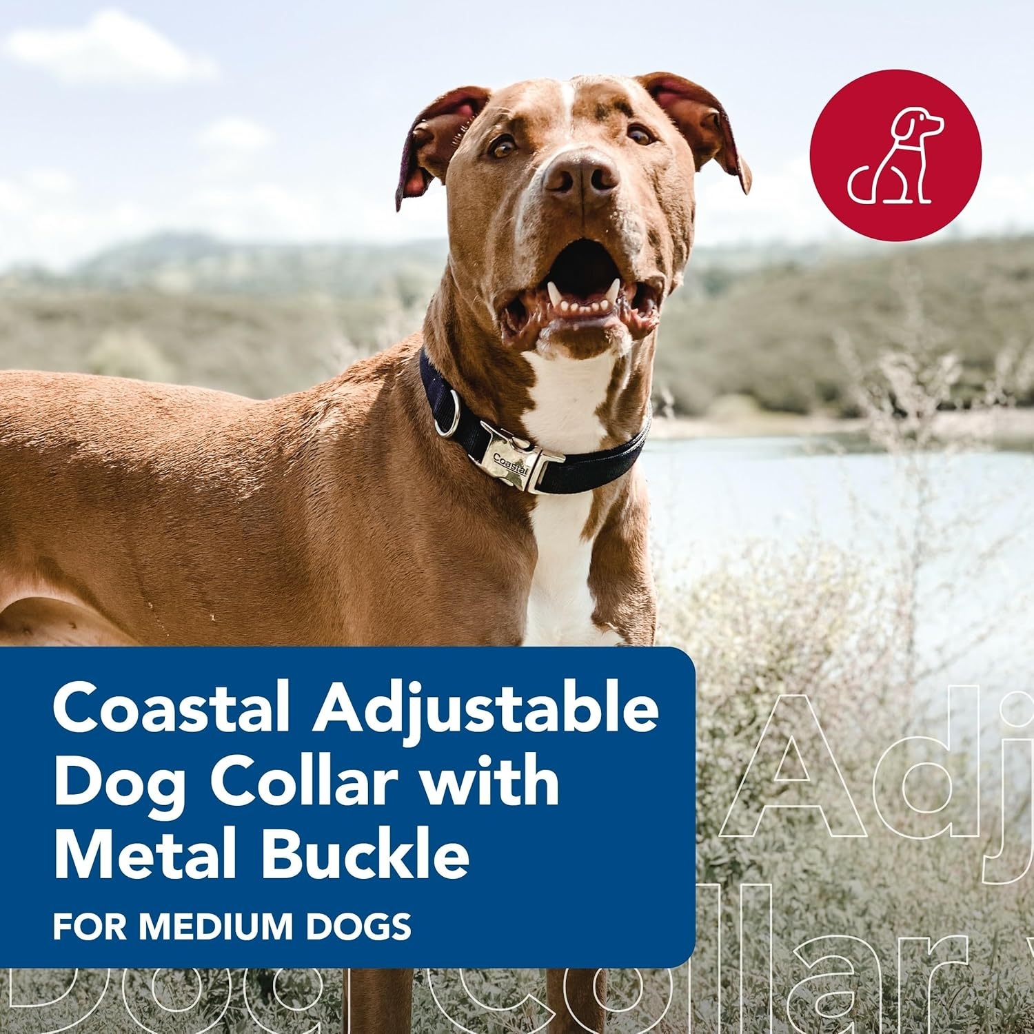image:imageCoastal Pet Adjustable Dog Collar with Metal Buckle Comfortable FadeResistant Dog Collar with Snap Lock Perfect for Walking amp Tie Outs Lime 1 x 1420Blue