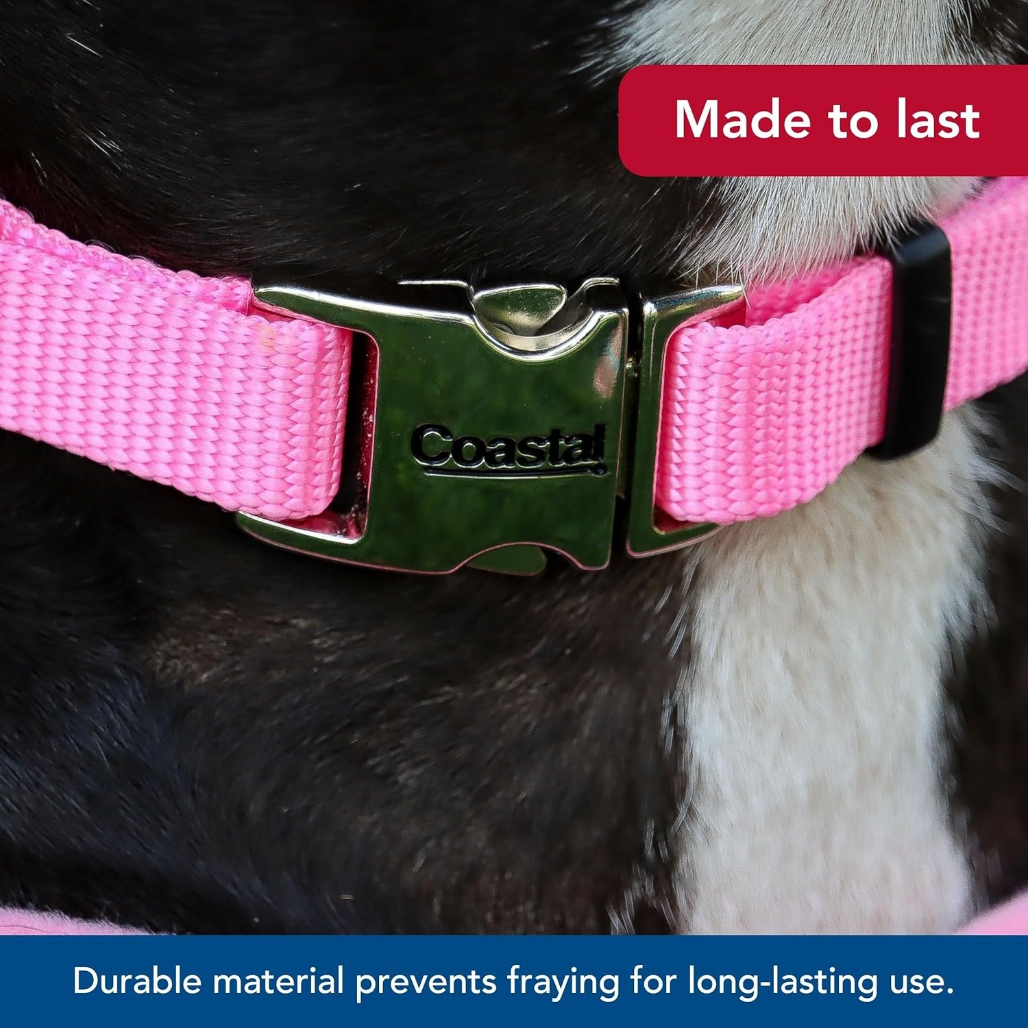 image:imageCoastal Pet Adjustable Dog Collar with Metal Buckle Comfortable FadeResistant Dog Collar with Snap Lock Perfect for Walking amp Tie Outs Lime 1 x 1420Pink Bright