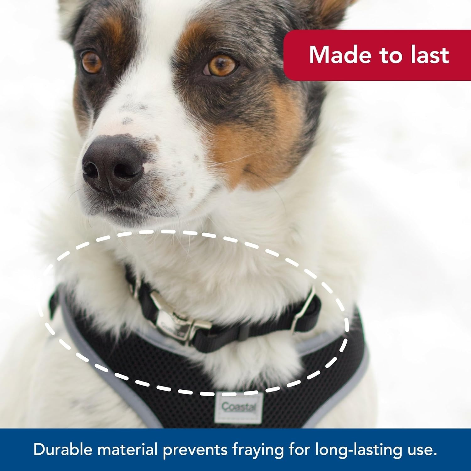 image:imageCoastal Pet Adjustable Dog Collar with Metal Buckle Comfortable FadeResistant Dog Collar with Snap Lock Perfect for Walking amp Tie Outs Lime 1 x 1420Blue Lagoon