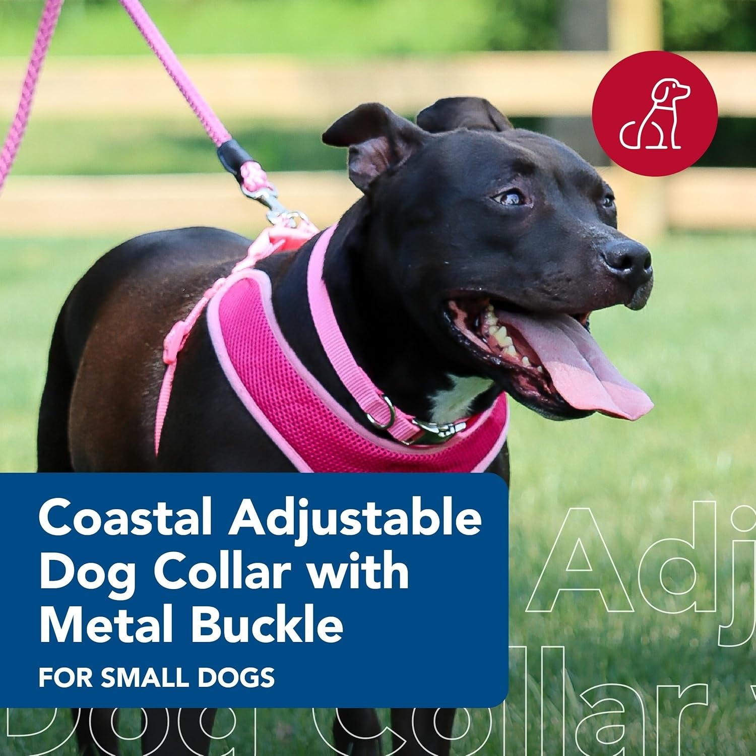 image:imageCoastal Pet Adjustable Dog Collar with Metal Buckle Comfortable FadeResistant Dog Collar with Snap Lock Perfect for Walking amp Tie Outs Lime 1 x 1420Pink Bright