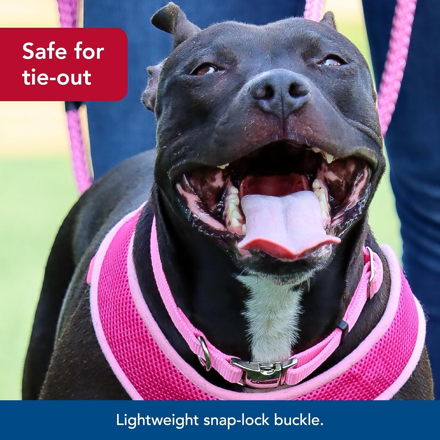image:imageCoastal Pet Adjustable Dog Collar with Metal Buckle Comfortable FadeResistant Dog Collar with Snap Lock Perfect for Walking amp Tie Outs Lime 1 x 1420Pink Bright