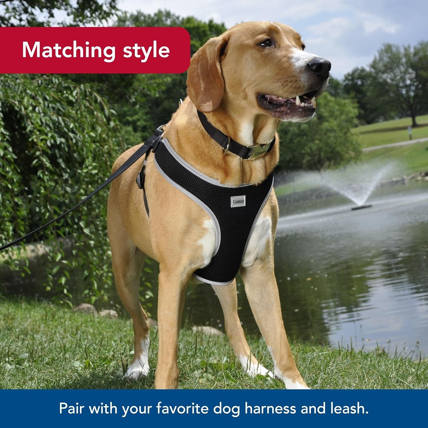 image:imageCoastal Pet Adjustable Dog Collar with Metal Buckle Comfortable FadeResistant Dog Collar with Snap Lock Perfect for Walking amp Tie Outs Lime 1 x 1420Blue Lagoon