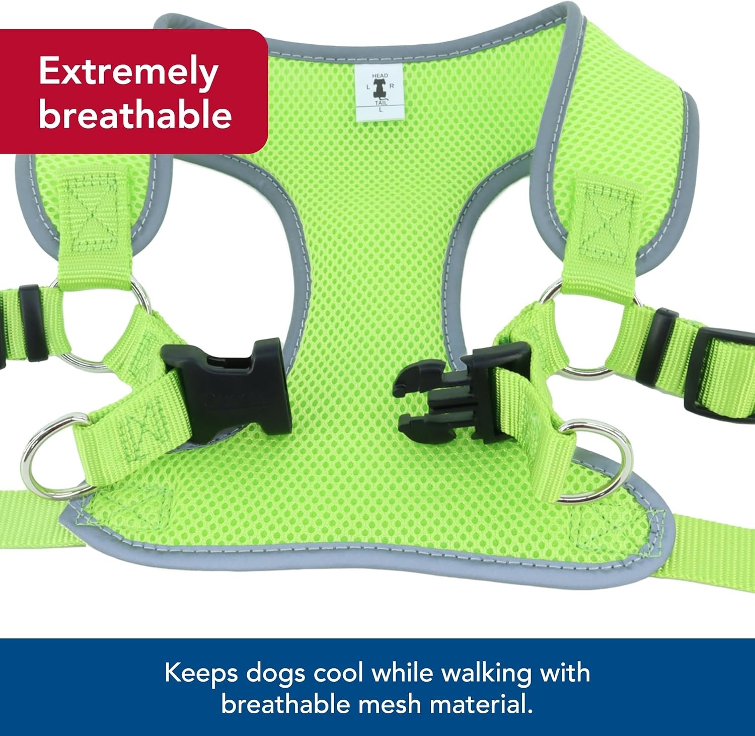 image:imageCoastal Pet Comfort Soft Reflective Wrap Adjustable Dog Harness NoPull Dog Harness for Small amp Large Dogs Lime 58 x 1619