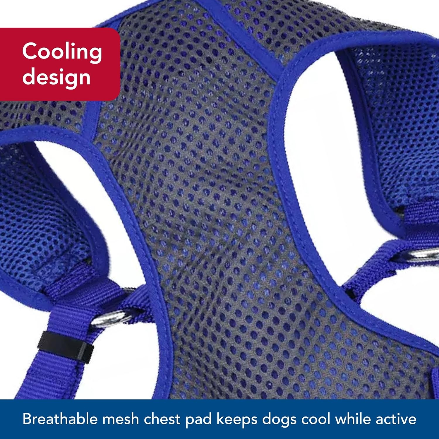 image:imageCoastal Pet Comfort Soft Sport Wrap Adjustable Dog Harness Large amp Small Dog Harness Durable Harness for Dogs with Mesh Chest Pad Grey with Blue 58 x 1624Grey with Blue
