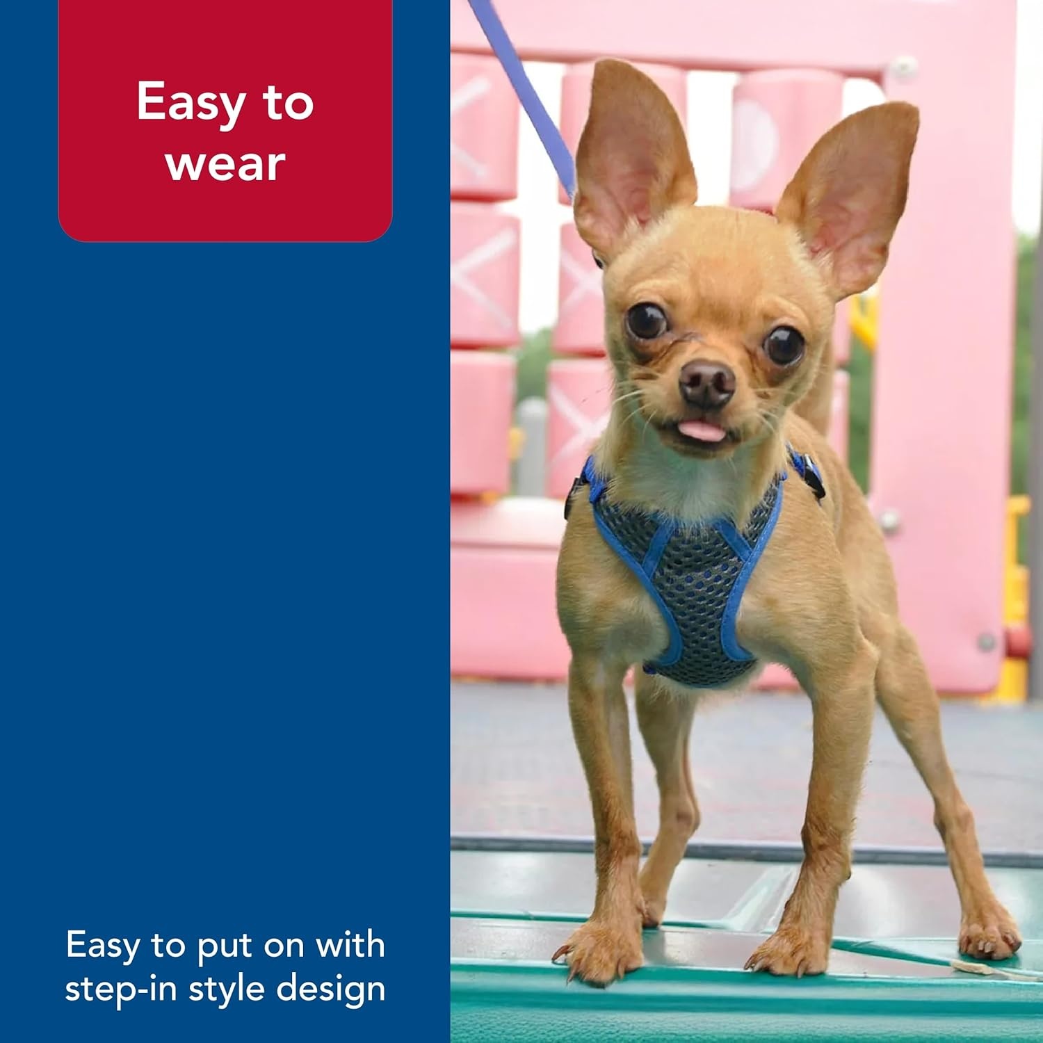 image:imageCoastal Pet Comfort Soft Sport Wrap Adjustable Dog Harness Large amp Small Dog Harness Durable Harness for Dogs with Mesh Chest Pad Grey with Blue 58 x 1624Grey with Blue