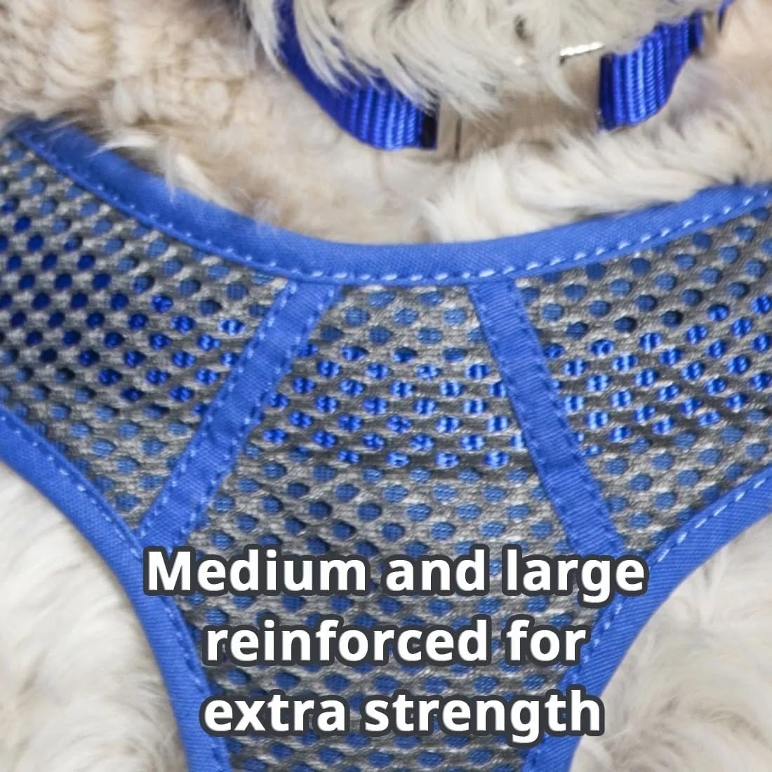 image:imageCoastal Pet Comfort Soft Sport Wrap Adjustable Dog Harness Large amp Small Dog Harness Durable Harness for Dogs with Mesh Chest Pad Grey with Blue 58 x 1624Grey with Red