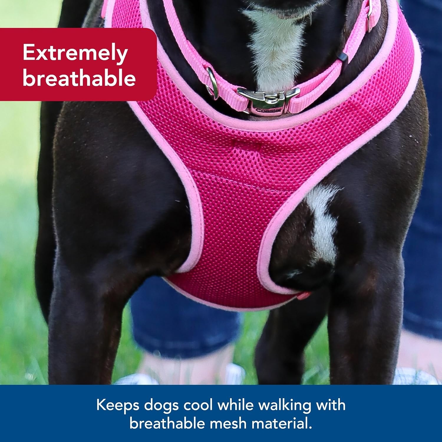 image:imageCoastal Pet Comfort Soft Wrap Adjustable Dog Harness Comfortable Harness for Dog Adjustable Fit Easy Stepin Design Breathable Fabric Mesh Lime 58 x 1619Pink Bright