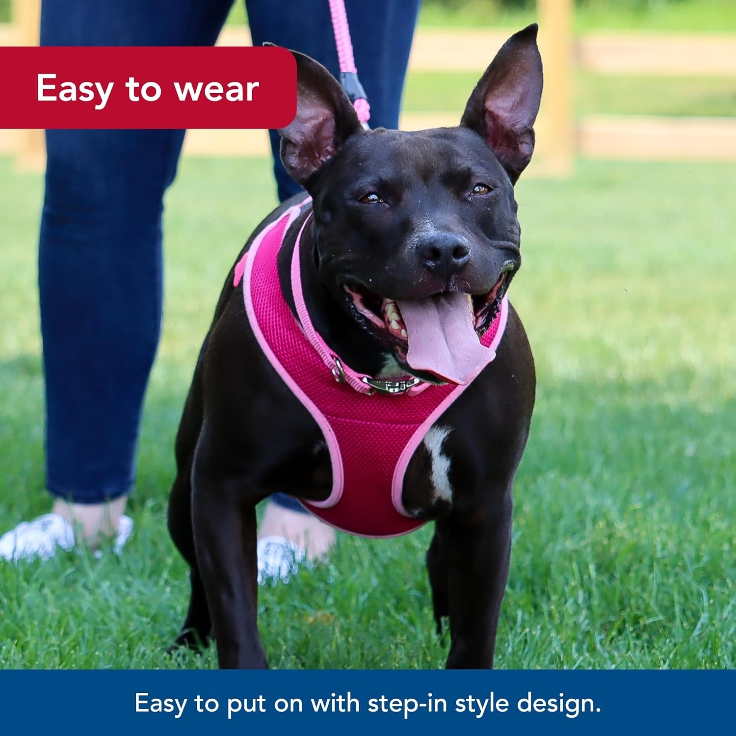 image:imageCoastal Pet Comfort Soft Wrap Adjustable Dog Harness Comfortable Harness for Dog Adjustable Fit Easy Stepin Design Breathable Fabric Mesh Lime 58 x 1619Orchid