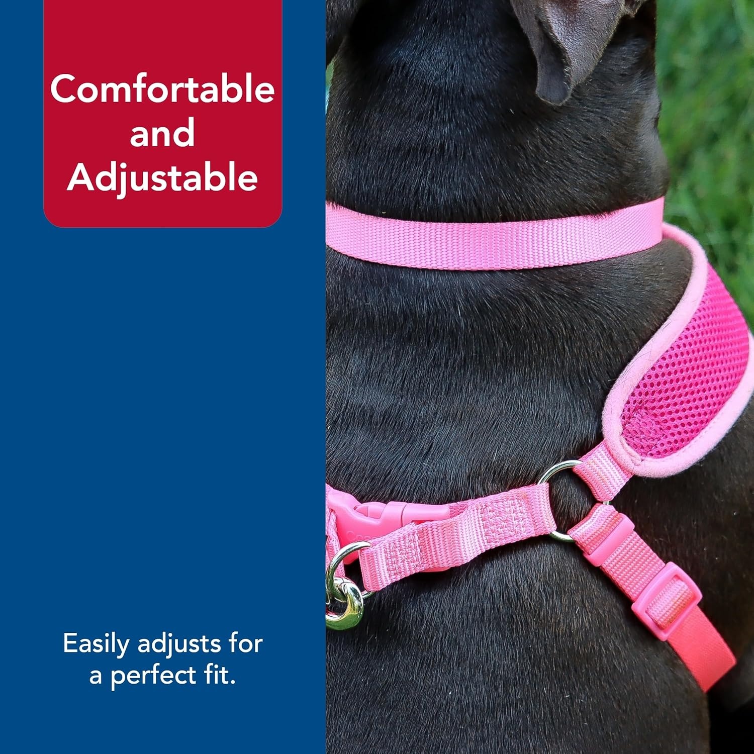 image:imageCoastal Pet Comfort Soft Wrap Adjustable Dog Harness Comfortable Harness for Dog Adjustable Fit Easy Stepin Design Breathable Fabric Mesh Lime 58 x 1619Orchid
