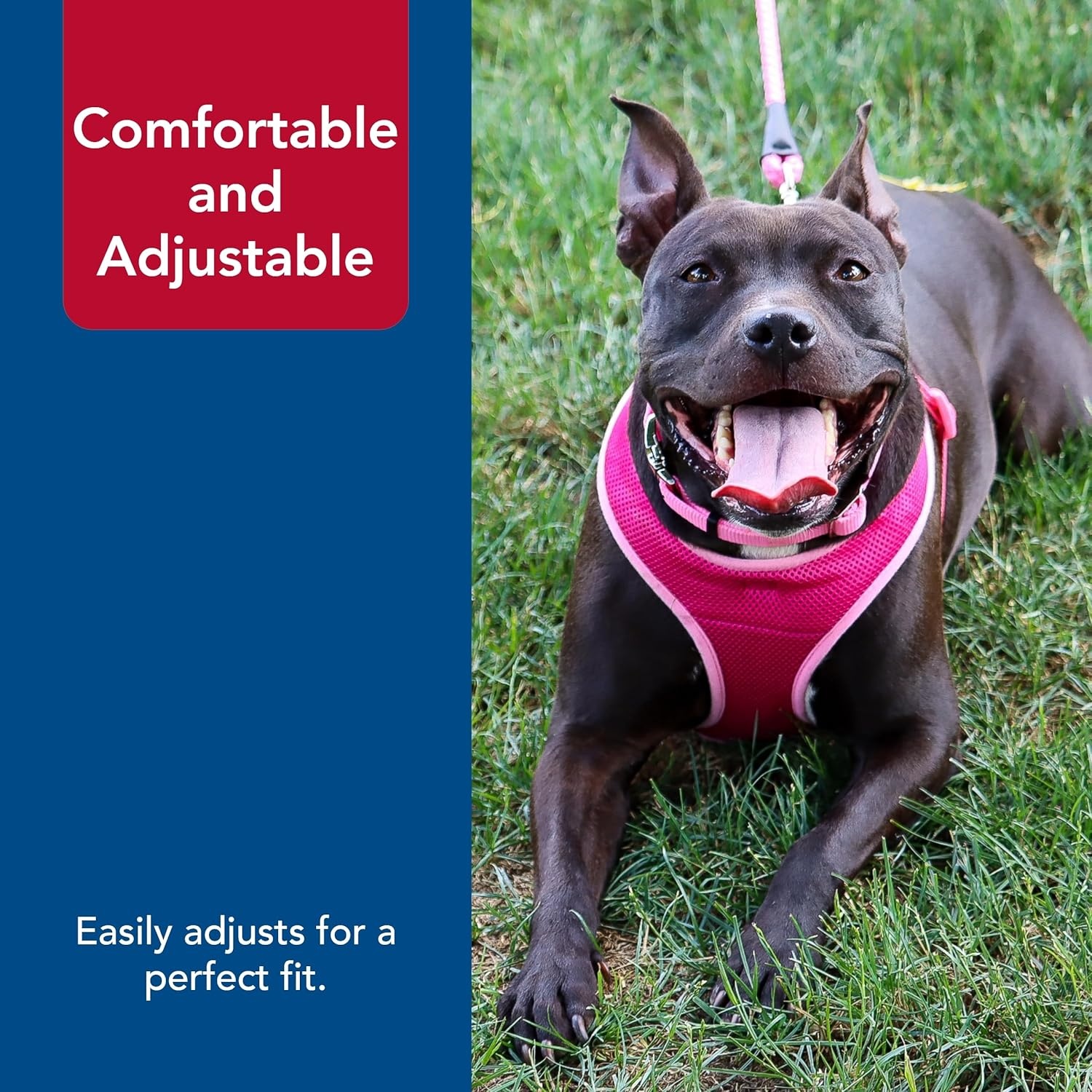 image:imageCoastal Pet Comfort Soft Wrap Adjustable Dog Harness Comfortable Harness for Dog Adjustable Fit Easy Stepin Design Breathable Fabric Mesh Lime 58 x 1619Orchid