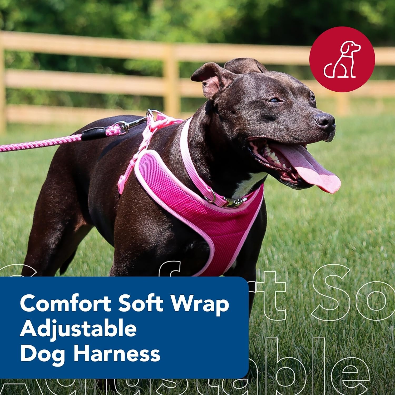 image:imageCoastal Pet Comfort Soft Wrap Adjustable Dog Harness Comfortable Harness for Dog Adjustable Fit Easy Stepin Design Breathable Fabric Mesh Lime 58 x 1619Orchid