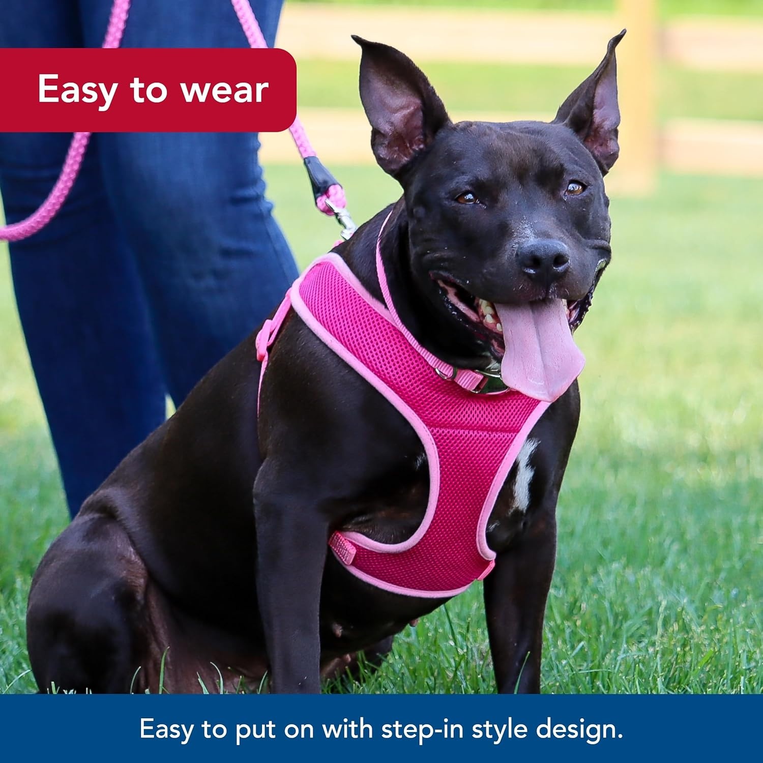 image:imageCoastal Pet Comfort Soft Wrap Adjustable Dog Harness Comfortable Harness for Dog Adjustable Fit Easy Stepin Design Breathable Fabric Mesh Lime 58 x 1619Pink Bright