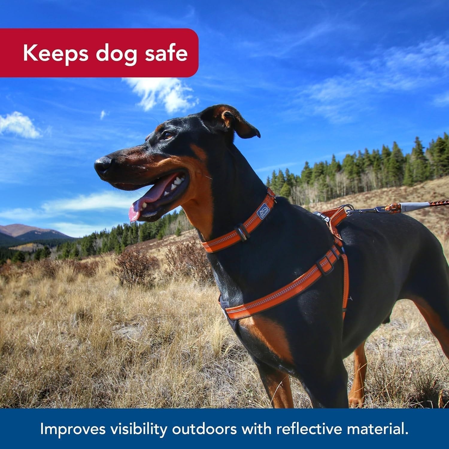 image:imageCoastal Pet K9 Explorer Reflective Adjustable Padded Dog Harness Plush Chest Pad for Comfort NoPull Dog Harness for Small and Large Dogs Berry 1 x 2030 Medium