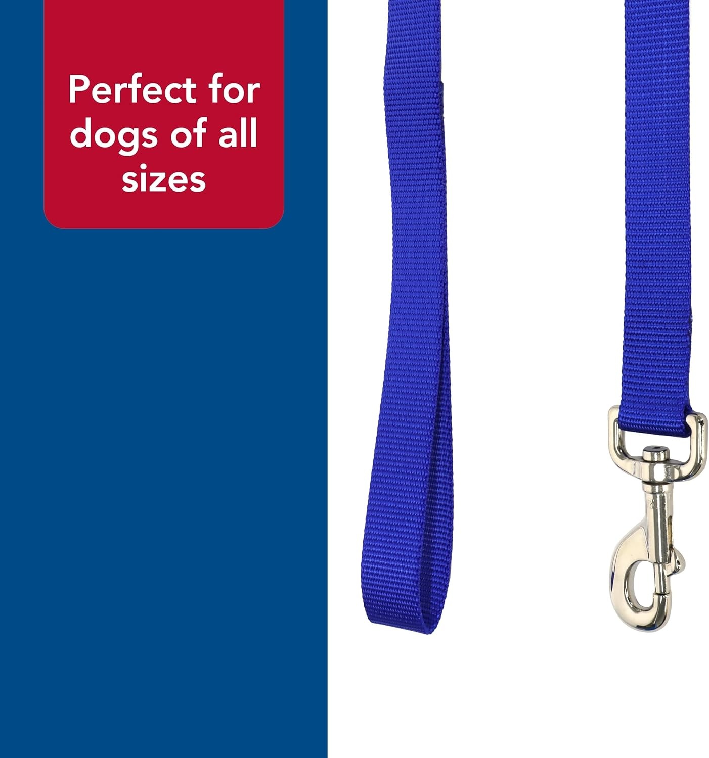 image:imageCoastal Pet SinglePly Dog Leash Sturdy Pet Leash Comfortable amp Stylish Resists Fraying Vibrant amp FadeResistant Color Lime 1 x 6Black