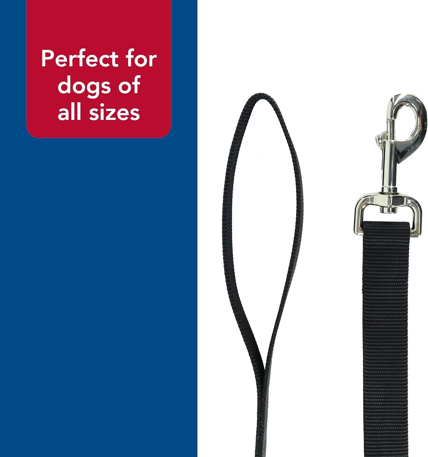 image:imageCoastal Pet SinglePly Dog Leash Sturdy Pet Leash Comfortable amp Stylish Resists Fraying Vibrant amp FadeResistant Color Lime 1 x 6Black