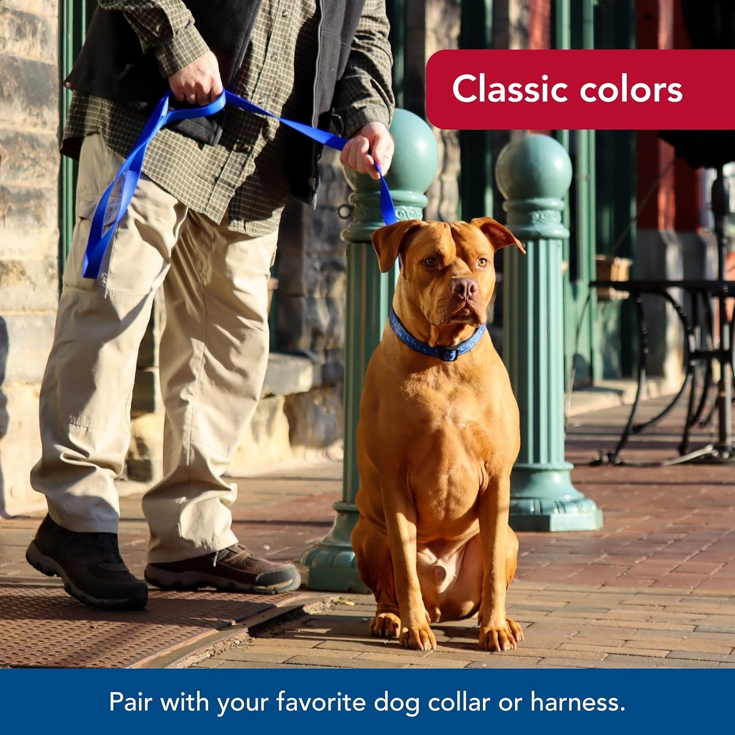 image:imageCoastal Pet SinglePly Dog Leash Sturdy Pet Leash Comfortable amp Stylish Resists Fraying Vibrant amp FadeResistant Color Lime 1 x 6Black